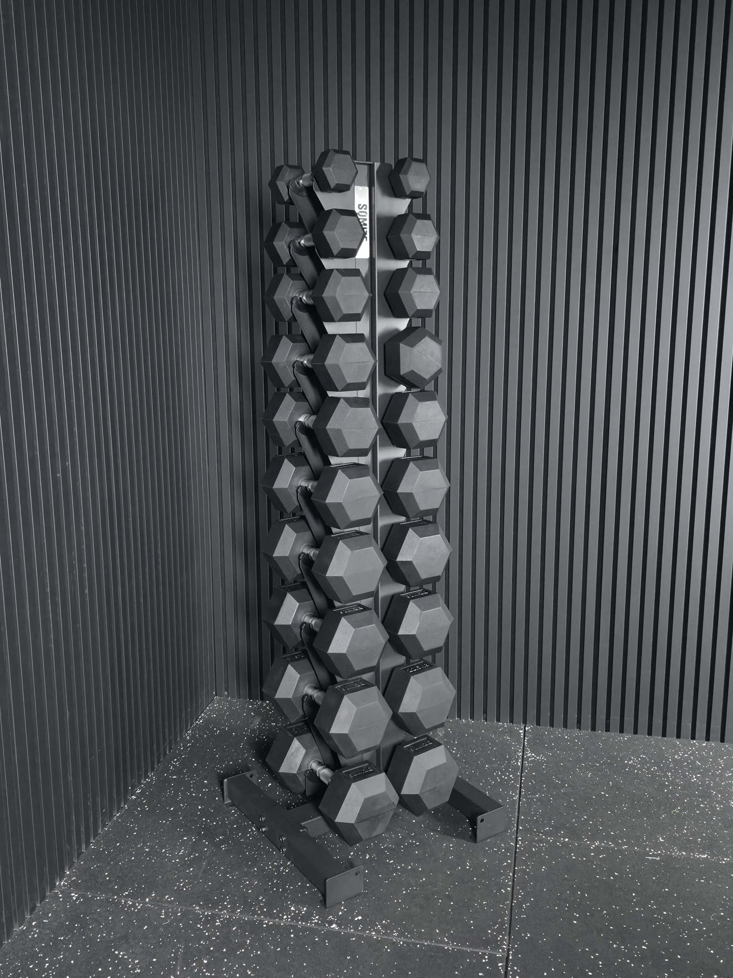 Dumbbell Storage Tower SQMIZE® SQ233