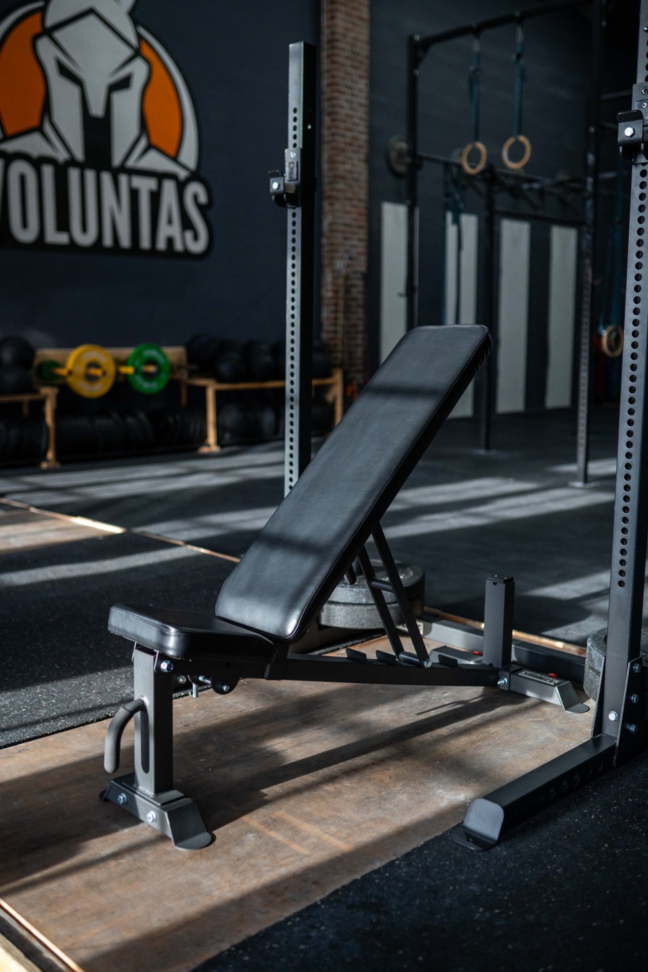 Flach- und Schrägbank SQMIZE® PRO CLUB SQ330