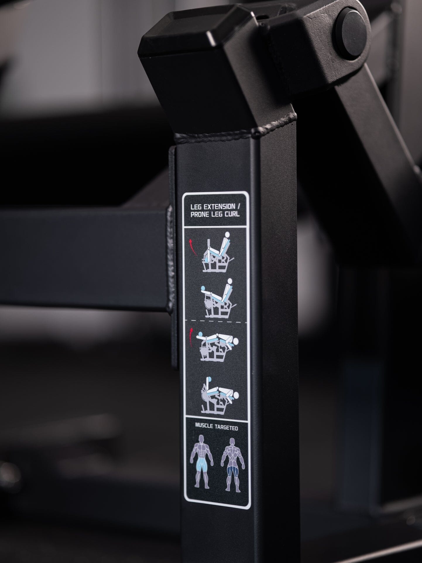 Beinbeuger / Beinstrecker Station SQMIZE® PREMIUM BISON LCE20i www.simpleproducts.at