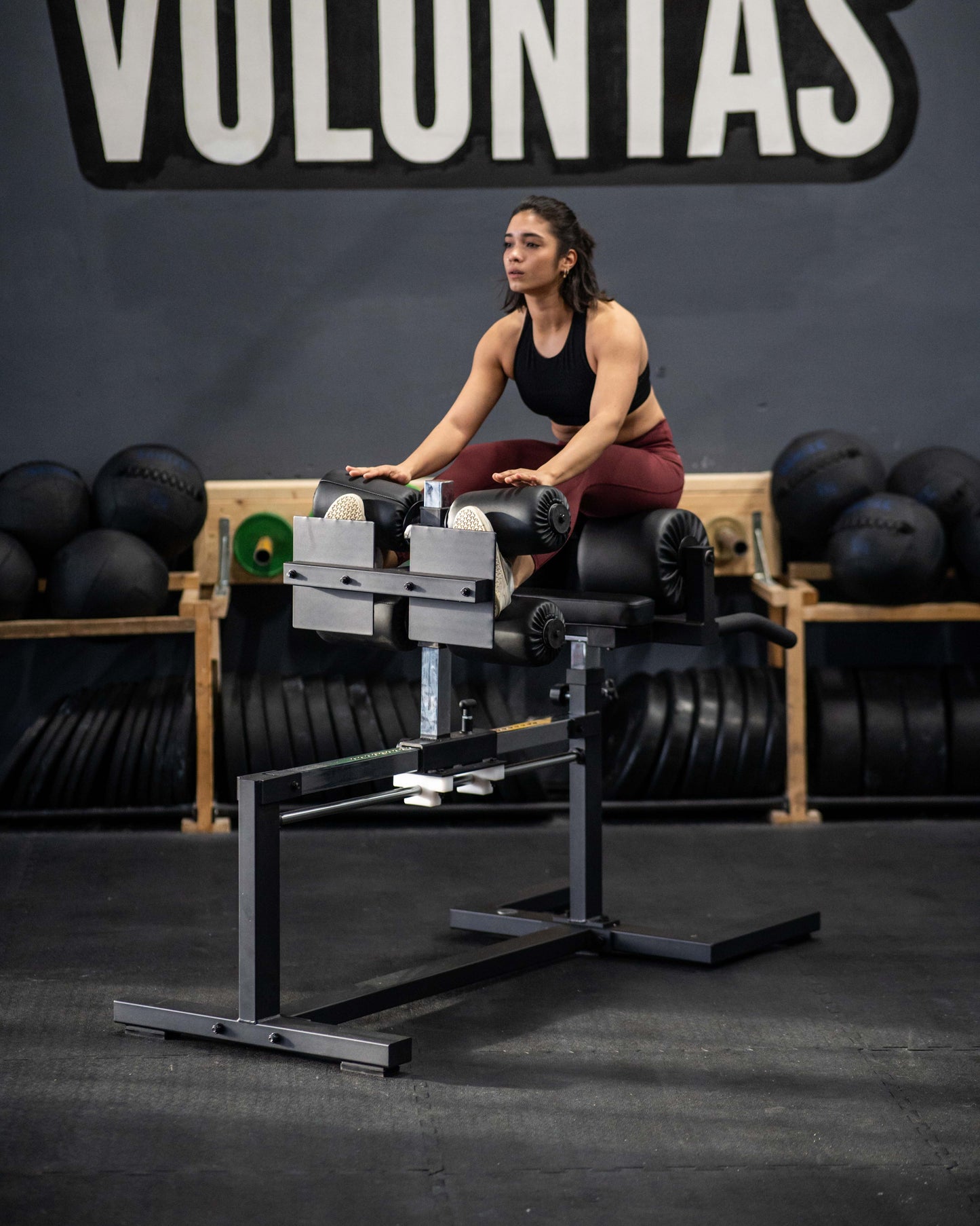 Glute Ham Developer SQMIZE® ELITE CLUB SQ-G1100 www.simpleproducts.at