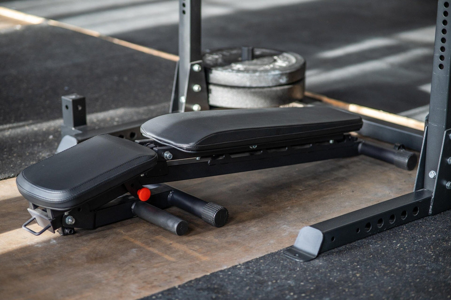 Klappbare Hantelbank SQMIZE® PREMIUM BISON FB3i www.simpleproducts.at