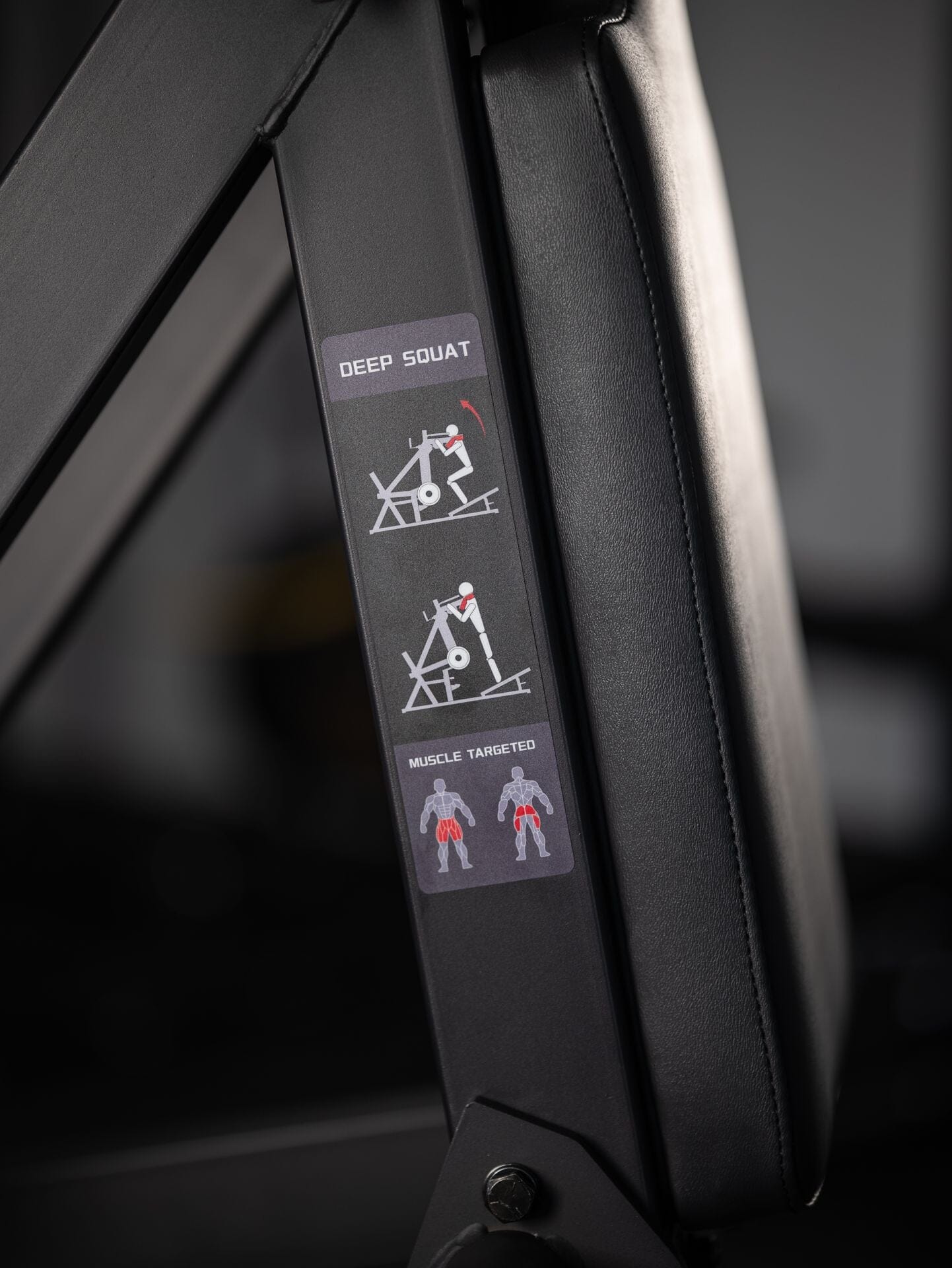 Kniebeugenmaschine SQMIZE® PREMIUM BISON FSP40i www.simpleproducts.at