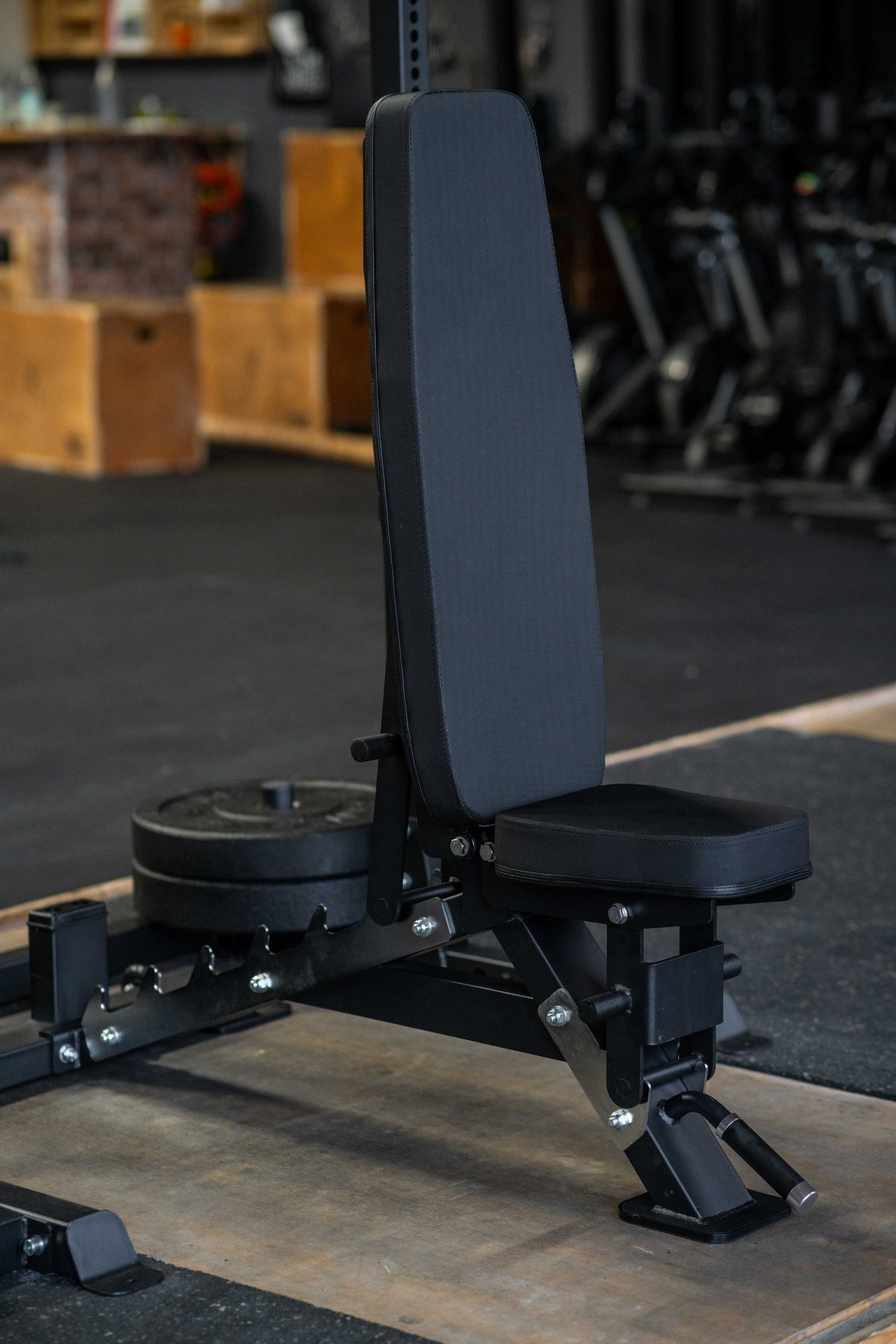 Hantelbank - Schrägbank SQMIZE® PREMIUM BISON SQ-R490