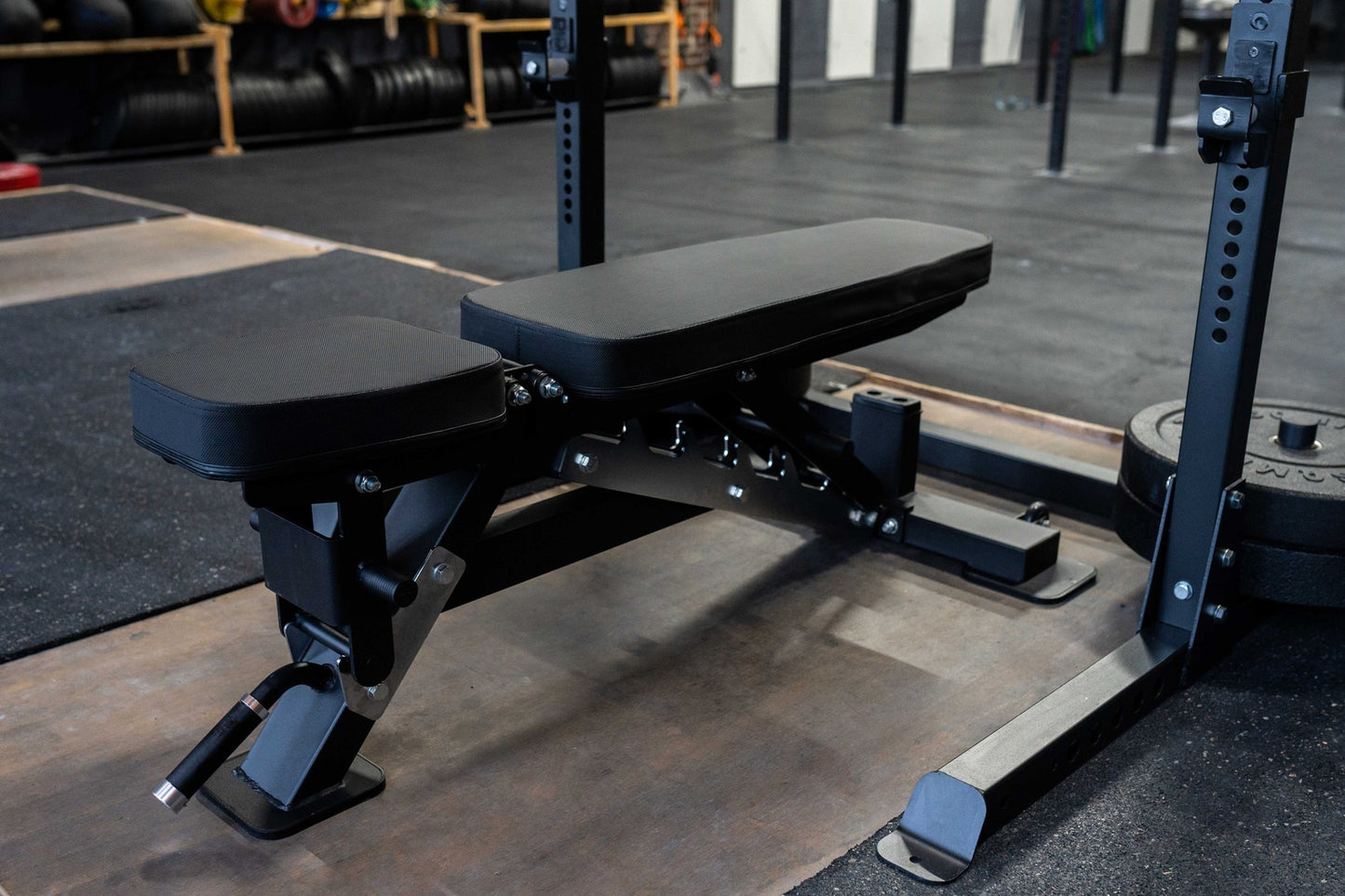 Hantelbank - Schrägbank SQMIZE® PREMIUM BISON SQ-R490