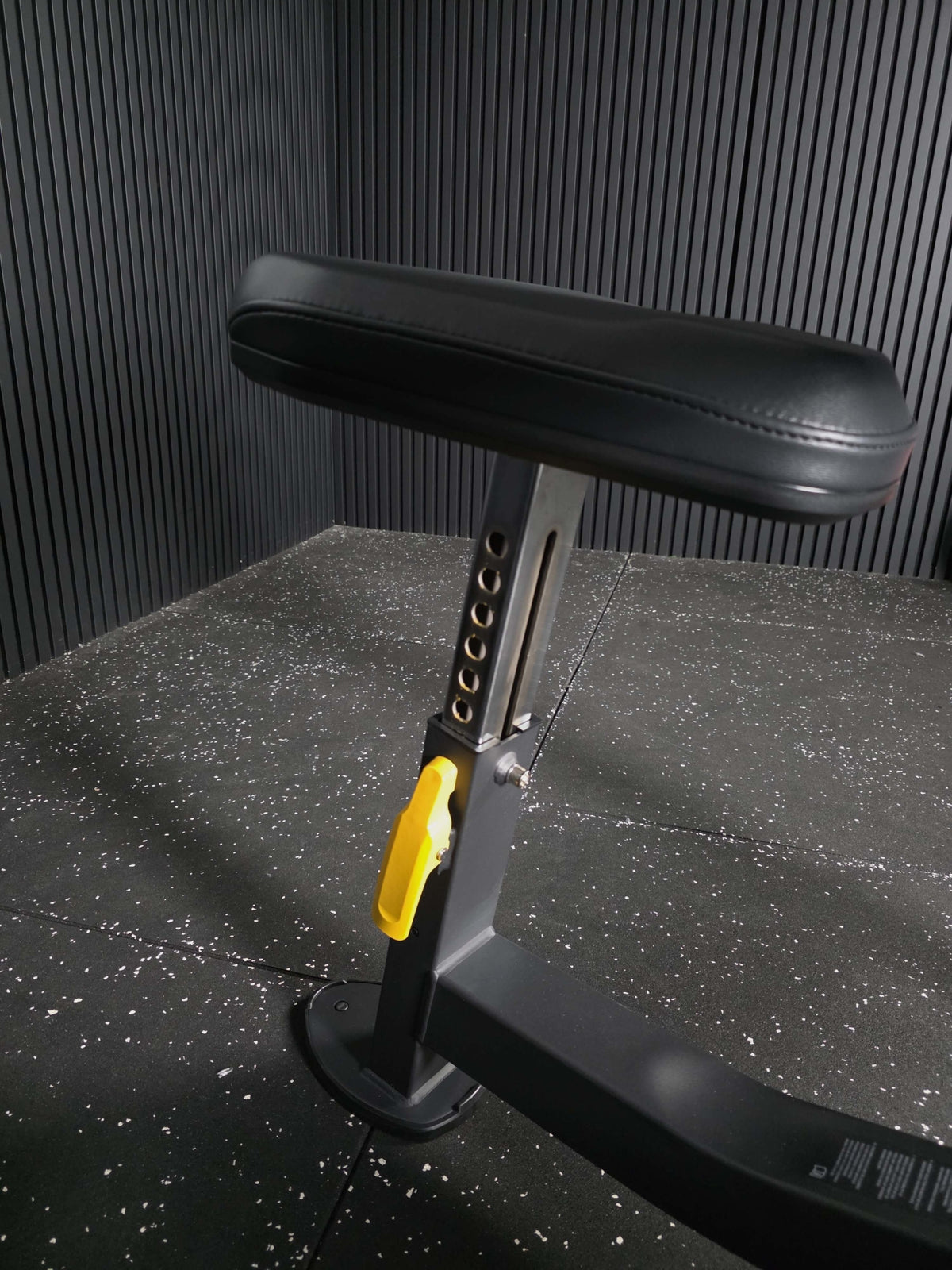 Curl Bench SQMIZE® ELITE CLUB SQ-M635