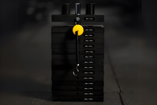Weight Stack Latstation SQMIZE® R741LAW-90 XT Professional, 90 kg