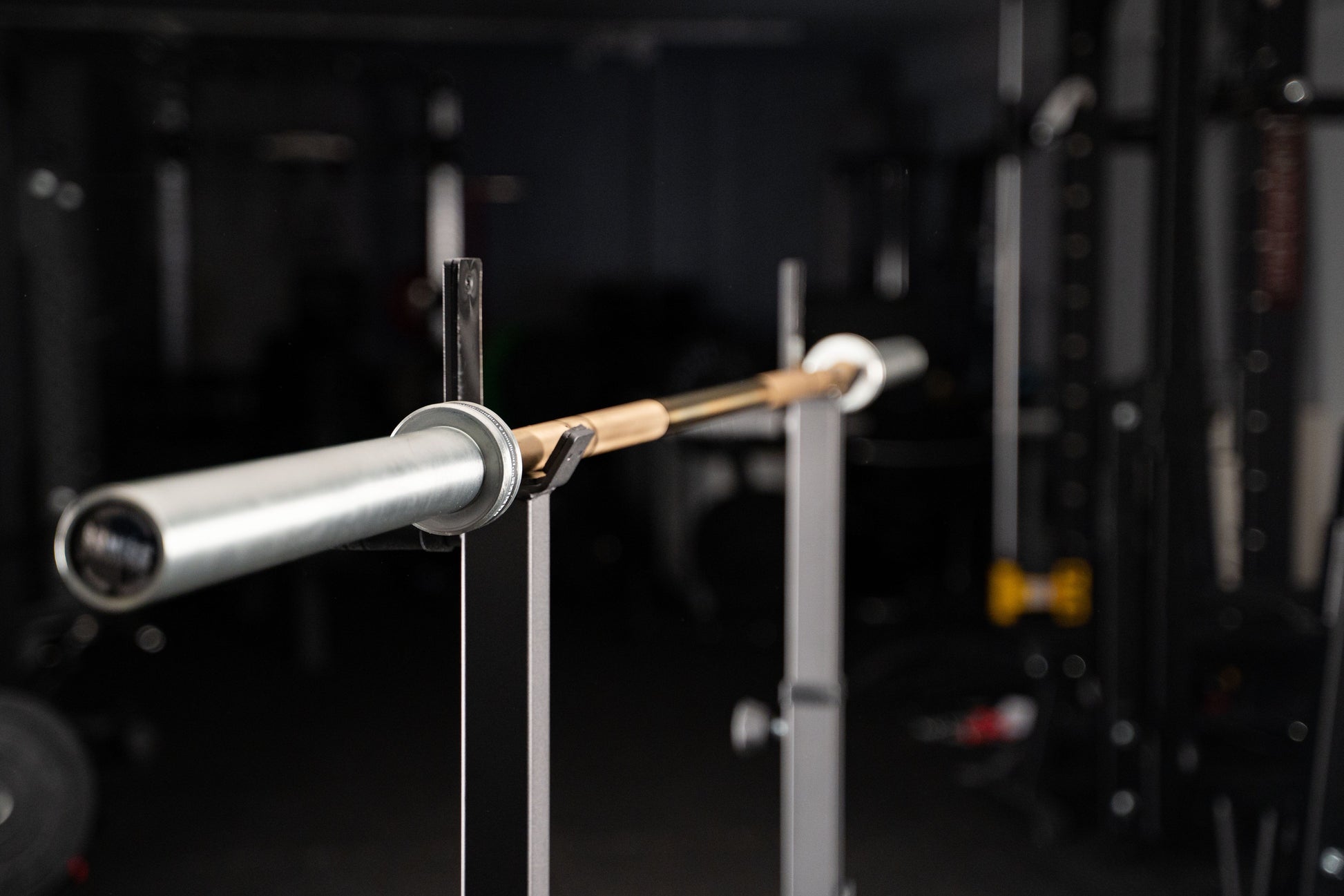 Wild Bison Bar Crosslifting® SQMIZE® ELITE CLUB OB86CRm-S www.simpleproducts.at 